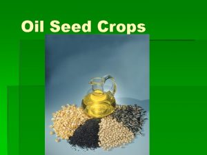 Oil Seed Crops Oil Seed Crops 5 Major