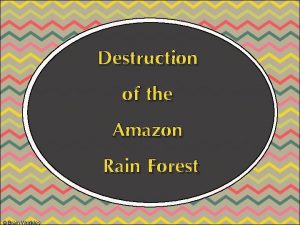 Destruction of the Amazon Rain Forest Brain Wrinkles