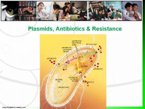 Plasmids Antibiotics Resistance http ibdpbiohl weebly com Plasmids