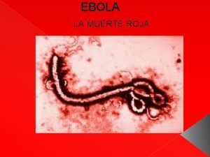 EBOLA LA MUERTE ROJA QUE ES LA EBOLA