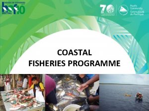 COASTAL FISHERIES PROGRAMME OUTLINE Coastal Fisheries programme CFP