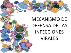 MECANISMO DE DEFENSA DE LAS INFECCIONES VIRALES DEFENSAS