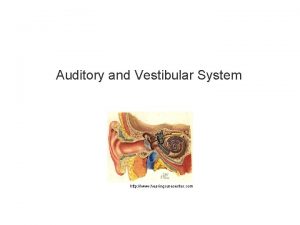 Auditory and Vestibular System http www hearingcarecenter com