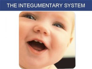 THE INTEGUMENTARY SYSTEM Introduction to the Integumentary System