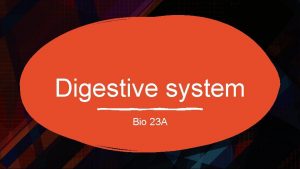 Digestive system Bio 23 A Alimentary canal Oral
