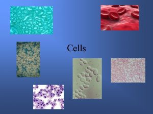 Cells Cells Cell is the smallest unit of