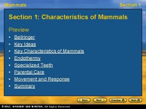 Mammals Section 1 Characteristics of Mammals Preview Bellringer