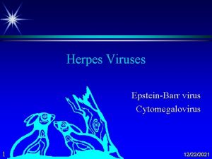 Herpes Viruses EpsteinBarr virus Cytomegalovirus 1 12222021 CMV
