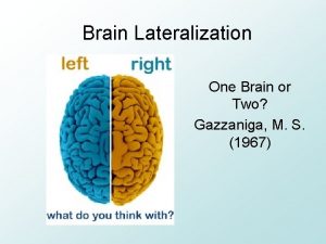 Brain Lateralization One Brain or Two Gazzaniga M