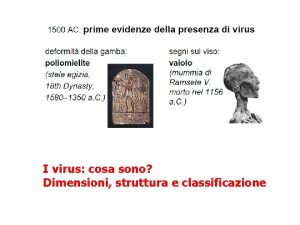 I virus cosa sono Dimensioni struttura e classificazione