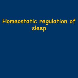 Homeostatic regulation of sleep Homeostatic regulation 216 circadian