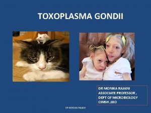 TOXOPLASMA GONDII DR MONIKA RAJANI ASSOCIATE PROFESSOR DEPT