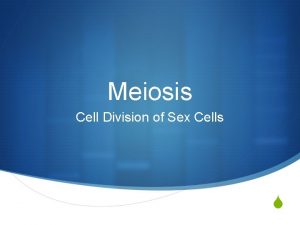 Meiosis Cell Division of Sex Cells S Tell