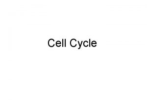 Cell Cycle Key Roles of Cell Division The