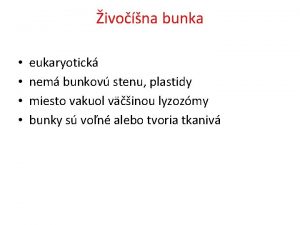 ivona bunka eukaryotick nem bunkov stenu plastidy miesto