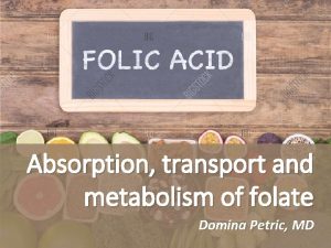 Absorption transport and metabolism of folate Domina Petric