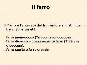 Il farro Il Farro lantenato del frumento e