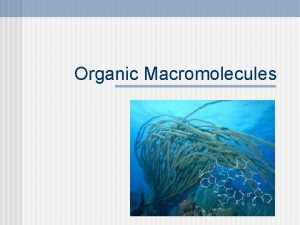 Organic Macromolecules Organic Compounds n Organic compounds are