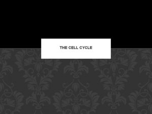THE CELL CYCLE FUNCTIONS The cell cycle is