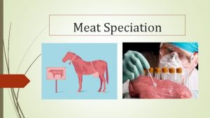 Meat Speciation Introduction Mixing of meat of one