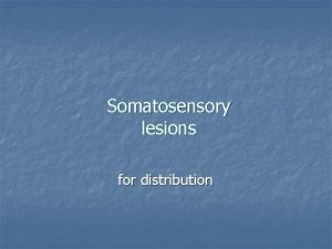 Somatosensory lesions for distribution decussation 3 neuron pathway