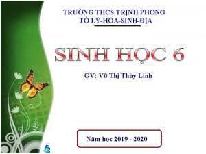 TRNG THCS TRNH PHONG T LHASINHA GV V