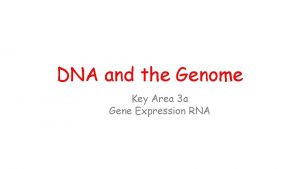 DNA and the Genome Key Area 3 a