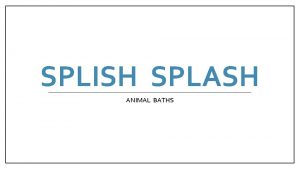 SPLISH SPLASH ANIMAL BATHS BEASTS beasts all animals