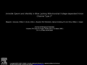 Immotile Sperm and Infertility in Mice Lacking Mitochondrial