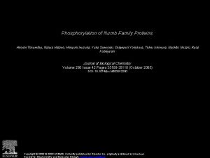 Phosphorylation of Numb Family Proteins Hiroshi Tokumitsu Naoya