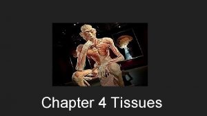 Chapter 4 Tissues 4 types of tissues 1