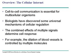 Overview The Cellular Internet Celltocell communication is essential