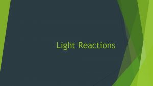 Light Reactions Light Reactions Summary 1 Light energy