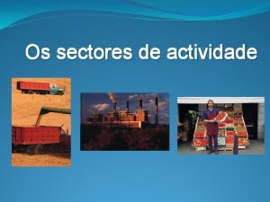 Os sectores de actividade Sector de actividade Conjunto