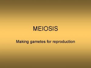 MEIOSIS Making gametes for reproduction Meiosis Type of