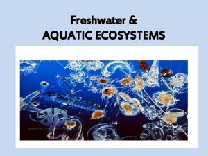 Freshwater AQUATIC ECOSYSTEMS SALINITY The types of organisms