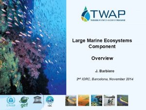 Large Marine Ecosystems Component Overview J Barbiere 2