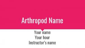 Arthropod Name Your name Your hour Instructors name