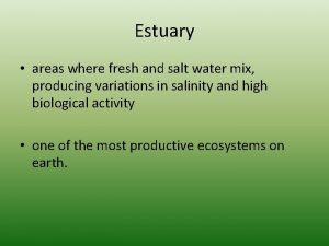 Estuary areas where fresh and salt water mix