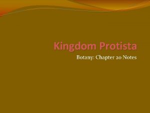 Kingdom Protista Botany Chapter 20 Notes Evolution of