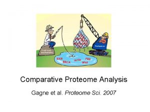 Comparative Proteome Analysis Gagne et al Proteome Sci