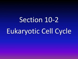 Section 10 2 Eukaryotic Cell Cycle Eukaryotic Cell