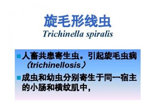 TRICHINOSIS TRICHINIASIS TRICHINELLOSIS Trichinella spiralis Trichinosis symptomatology Intestinal
