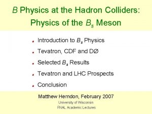 B Physics at the Hadron Colliders Physics of