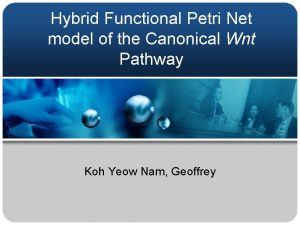 Hybrid Functional Petri Net model of the Canonical