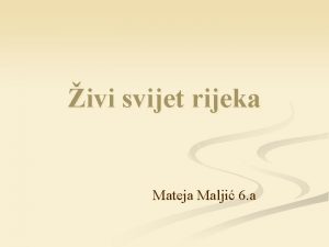 ivi svijet rijeka Mateja Malji 6 a ivot