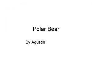 Polar Bear By Agustin The polar bear is