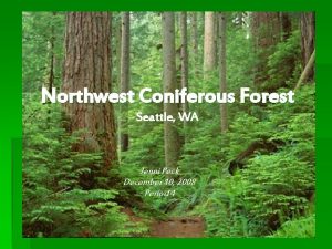 Northwest Coniferous Forest Seattle WA Jenni Peck December