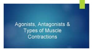 Agonists Antagonists Types of Muscle Contractions Agonists Antagonists