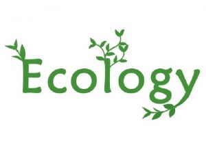 What does Ecology study Ecology Eco oikos house